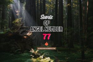 77 Angel Number Meaning & Twin Flame Reunion