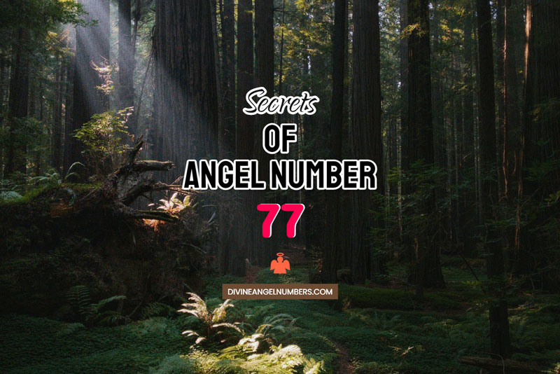 77 Angel Number Meaning & Twin Flame Reunion