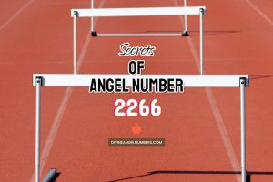 Angel Number 2266 Meaning & Twin Flame Reunion