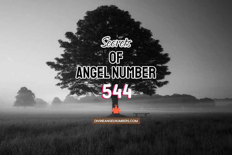 Angel Number 544 Meaning & Twin Flame Reunion