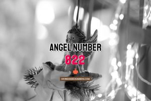 Angel Number 822 Meaning & Twin Flame Reunion